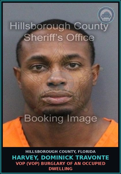 CCW arrest card for HARVEY, DOMINICK TRAVONTE in Hillsborough County: VOP (VOP) BURGLARY OF AN OCCUPIED DWELLING