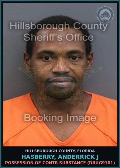 CCW arrest card for HASBERRY, ANDERRICK J in Hillsborough County: POSSESSION OF contr substance (DRUG9101)