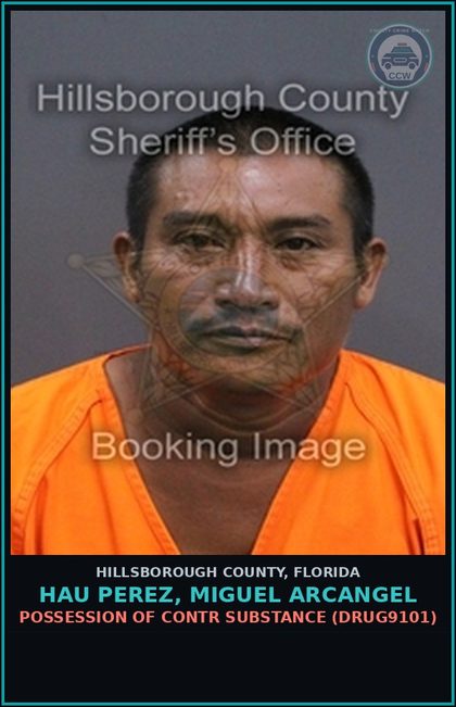 CCW arrest card for HAU PEREZ, MIGUEL ARCANGEL in Hillsborough County: POSSESSION OF contr substance (DRUG9101)