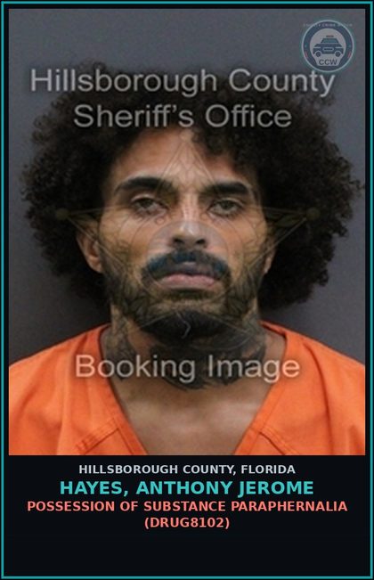 CCW arrest card for HAYES, ANTHONY JEROME in Hillsborough County: POSSESSION OF DRUG PARAPHERNALIA (DRUG8102)