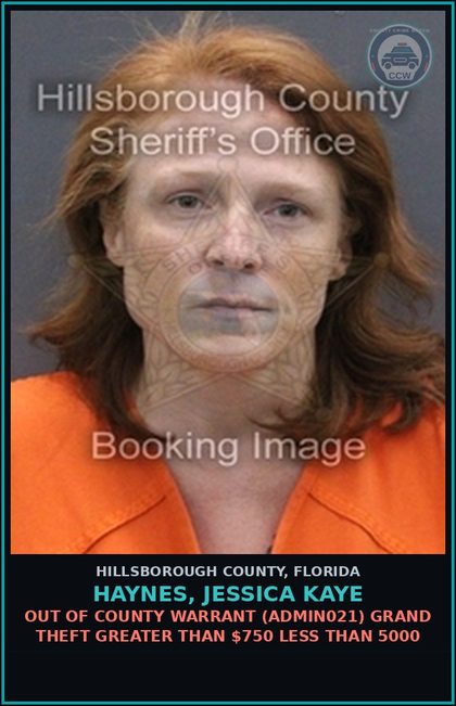 CCW arrest card for HAYNES, JESSICA KAYE in Hillsborough County: OUT OF COUNTY WARRANT (ADMIN021) GRAND THEFT GREATER THAN $750 LESS THAN 5000