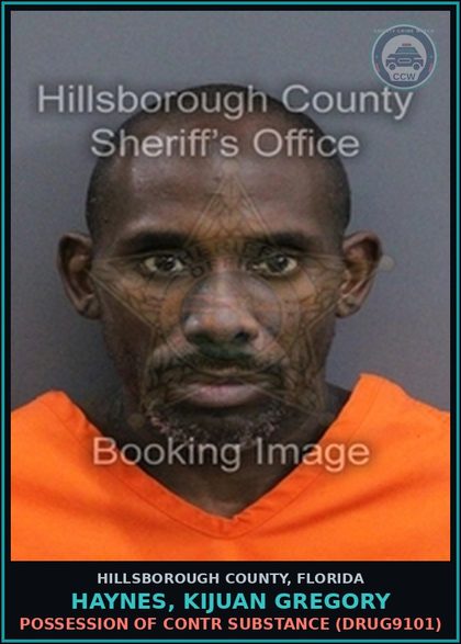 CCW arrest card for HAYNES, KIJUAN GREGORY in Hillsborough County: POSSESSION OF contr substance (DRUG9101)