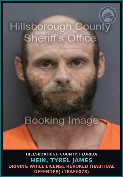 CCW arrest card for HEIN, TYREL JAMES in Hillsborough County: DRIVING WHILE LICENSE REVOKED (HABITUAL OFFENDER) (TRAF6078)