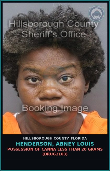 CCW arrest card for HENDERSON, ABNEY LOUIS in Hillsborough County: RESISTING OFFICER WITHOUT VIOLENCE (COPS1001)