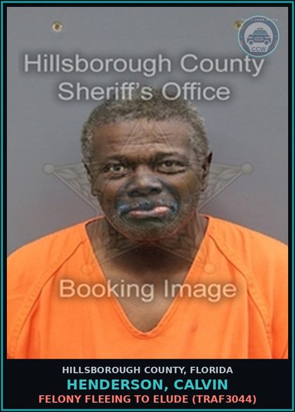 CCW arrest card for HENDERSON, CALVIN in Hillsborough County: FELONY FLEEING TO ELUDE (TRAF3044)