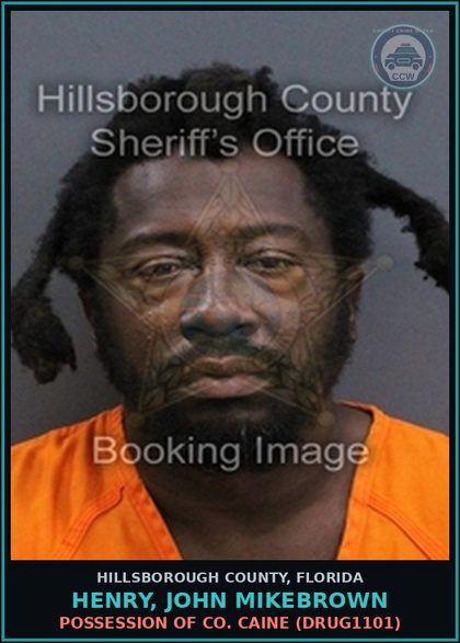 CCW arrest card for HENRY, JOHN MIKEBROWN in Hillsborough County: POSSESSION OF COCAINE (DRUG1101)