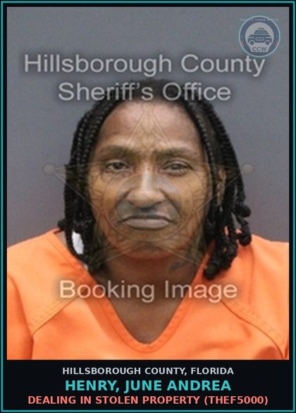 CCW arrest card for HENRY, JUNE ANDREA in Hillsborough County: DEALING IN STOLEN PROPERTY (THEF5000)