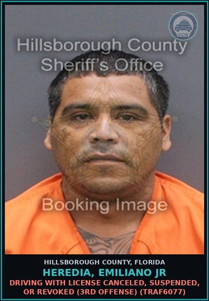 CCW arrest card for HEREDIA, EMILIANO JR in Hillsborough County: DRIVING WITH LICENSE CANCELED, SUSPENDED, OR REVOKED (3RD OFFENSE) (TRAF6077)