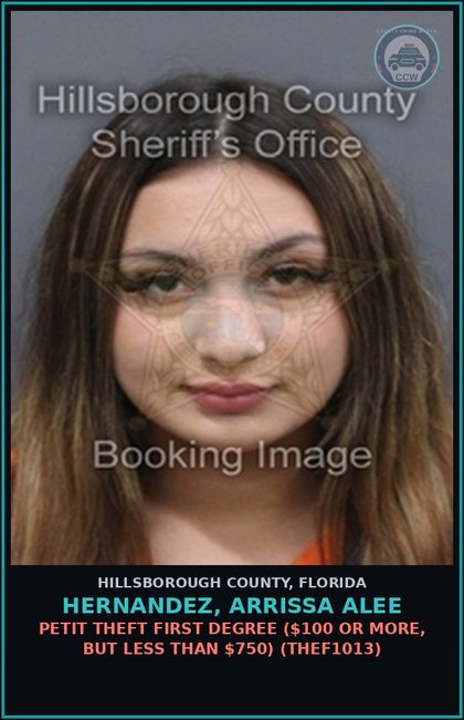 CCW arrest card for HERNANDEZ, ARRISSA ALEE in Hillsborough County: PETIT THEFT FIRST DEGREE ($100 OR MORE, BUT LESS THAN $750) (THEF1013)
