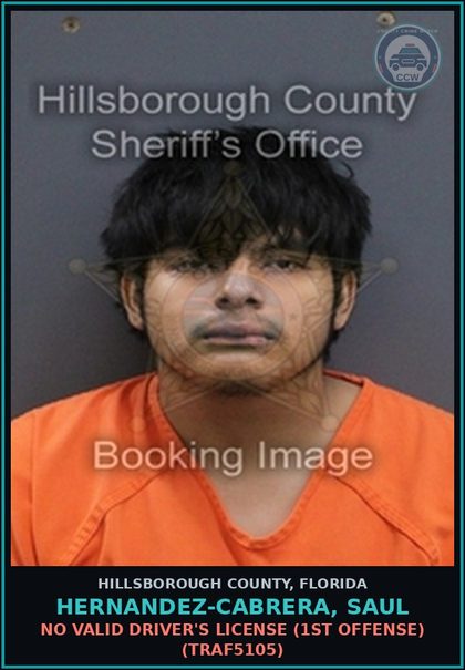 CCW arrest card for HERNANDEZ-CABRERA, SAUL in Hillsborough County: NO VALID DRIVER'S LICENSE (1ST OFFENSE) (TRAF5105)