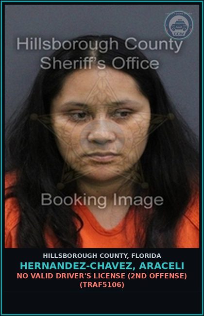 CCW arrest card for HERNANDEZ-CHAVEZ, ARACELI in Hillsborough County: NO VALID DRIVER'S LICENSE (2ND OFFENSE) (TRAF5106)