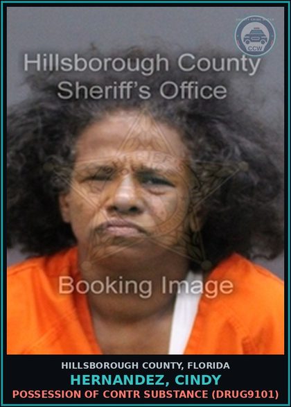 CCW arrest card for HERNANDEZ, CINDY in Hillsborough County: POSSESSION OF contr substance (DRUG9101)