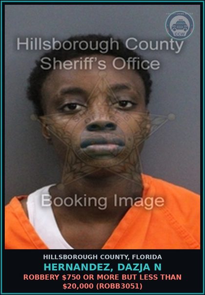 CCW arrest card for HERNANDEZ, DAZJA N in Hillsborough County: ROBBERY $750 OR MORE BUT LESS THAN $20,000 (ROBB3051)