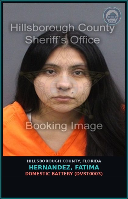 CCW arrest card for HERNANDEZ, FATIMA in Hillsborough County: DOMESTIC BATTERY (DVST0003)