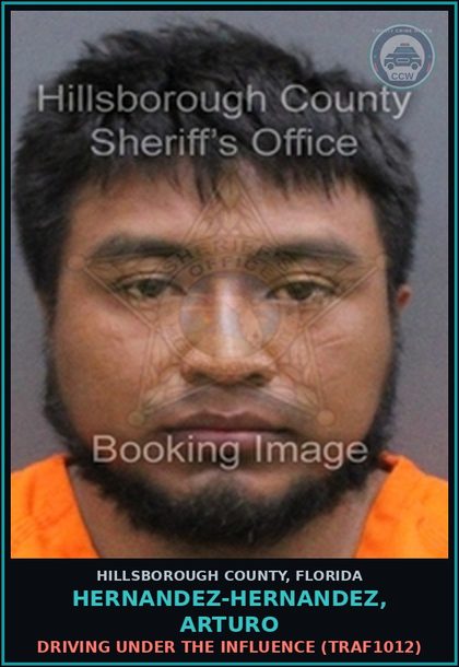 CCW arrest card for HERNANDEZ-HERNANDEZ, ARTURO in Hillsborough County: DRIVING UNDER THE INFLUENCE (TRAF1012)