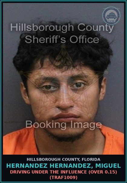 CCW arrest card for HERNANDEZ HERNANDEZ, MIGUEL in Hillsborough County: DRIVING UNDER THE INFLUENCE (OVER 0.15) (TRAF1009)