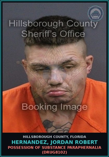 CCW arrest card for HERNANDEZ, JORDAN ROBERT in Hillsborough County: POSSESSION OF DRUG PARAPHERNALIA (DRUG8102)