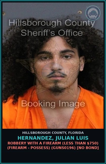 CCW arrest card for HERNANDEZ, JULIAN LUIS in Hillsborough County: ROBBERY WITH A FIREARM (LESS THAN $750) (FIREARM - POSSESS) (GUNS0196) [NO BOND]