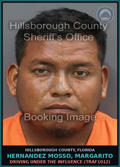 CCW arrest card for HERNANDEZ MOSSO, MARGARITO in Hillsborough County: DRIVING UNDER THE INFLUENCE (TRAF1012)