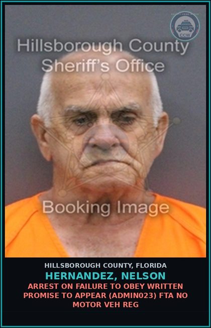 CCW arrest card for HERNANDEZ, NELSON in Hillsborough County: ARREST ON FAILURE TO OBEY WRITTEN PROMISE TO APPEAR (ADMIN023) FTA NO MOTOR VEH REG