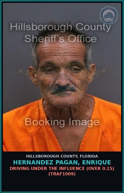 CCW arrest card for HERNANDEZ PAGAN, ENRIQUE in Hillsborough County: DRIVING UNDER THE INFLUENCE (OVER 0.15) (TRAF1009)