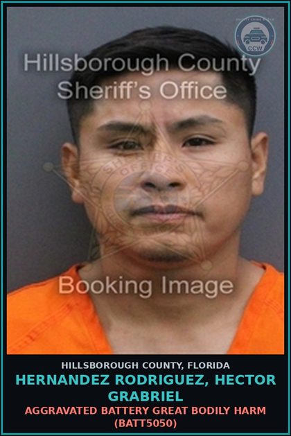 CCW arrest card for HERNANDEZ RODRIGUEZ, HECTOR GRABRIEL in Hillsborough County: AGGRAVATED BATTERY GREAT BODILY HARM (BATT5050)