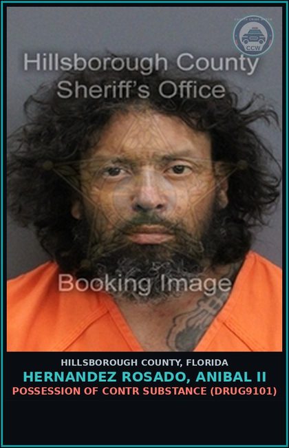CCW arrest card for HERNANDEZ ROSADO, ANIBAL II in Hillsborough County: POSSESSION OF contr substance (DRUG9101)