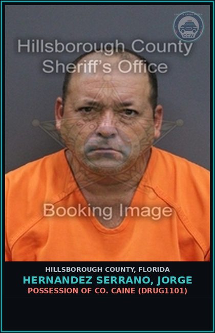 CCW arrest card for HERNANDEZ SERRANO, JORGE in Hillsborough County: POSSESSION OF COCAINE (DRUG1101)