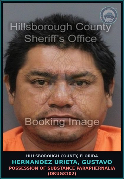 CCW arrest card for HERNANDEZ URIETA, GUSTAVO in Hillsborough County: POSSESSION OF DRUG PARAPHERNALIA (DRUG8102)