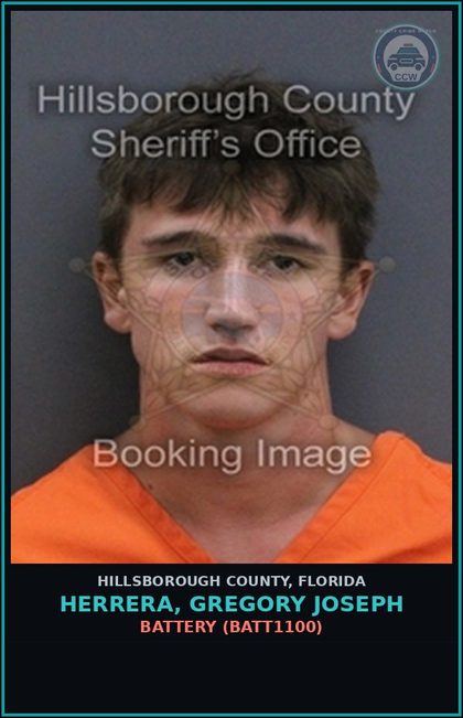 CCW arrest card for HERRERA, GREGORY JOSEPH in Hillsborough County: BATTERY (BATT1100)