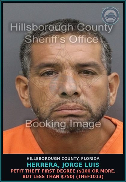 CCW arrest card for HERRERA, JORGE LUIS in Hillsborough County: PETIT THEFT FIRST DEGREE ($100 OR MORE, BUT LESS THAN $750) (THEF1013)