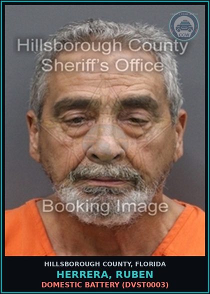 CCW arrest card for HERRERA, RUBEN in Hillsborough County: DOMESTIC BATTERY (DVST0003)
