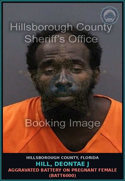 CCW arrest card for HILL, DEONTAE J in Hillsborough County: BATTERY (BATT1100)
