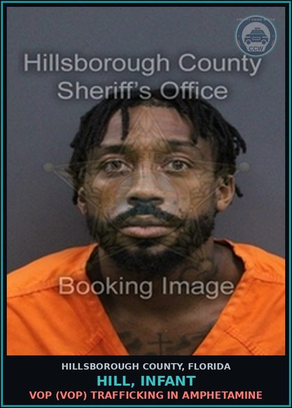 CCW arrest card for HILL, INFANT in Hillsborough County: VOP (VOP) TRAFFICKING IN AMPHETAMINE