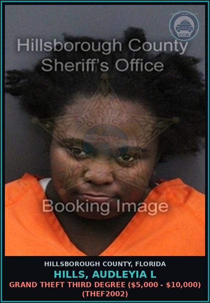CCW arrest card for HILLS, AUDLEYIA L in Hillsborough County: GRAND THEFT THIRD DEGREE ($5,000 - $10,000) (THEF2002)