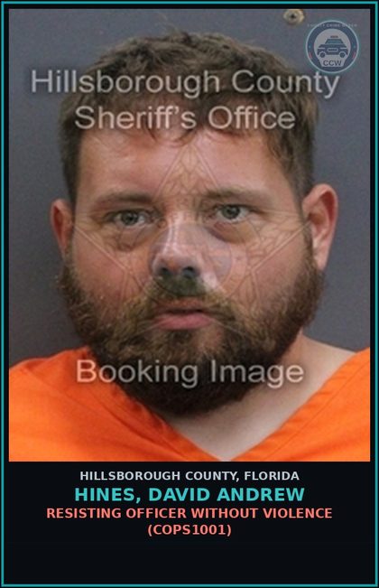 CCW arrest card for HINES, DAVID ANDREW in Hillsborough County: RESISTING OFFICER WITHOUT VIOLENCE (COPS1001)