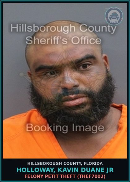 CCW arrest card for HOLLOWAY, KAVIN DUANE JR in Hillsborough County: FELONY PETIT THEFT (THEF7002)