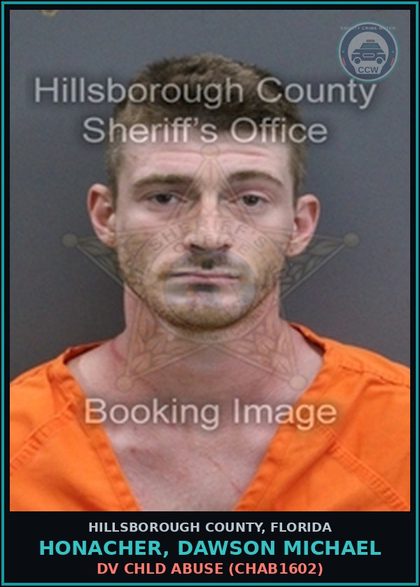 CCW arrest card for HONACHER, DAWSON MICHAEL in Hillsborough County: DV chld ABUSE (CHAB1602)