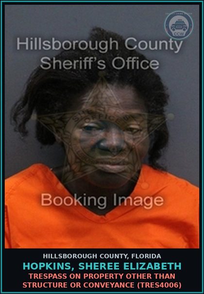 CCW arrest card for HOPKINS, SHEREE ELIZABETH in Hillsborough County: TRESPASS ON PROPERTY OTHER THAN STRUCTURE OR CONVEYANCE (TRES4006)