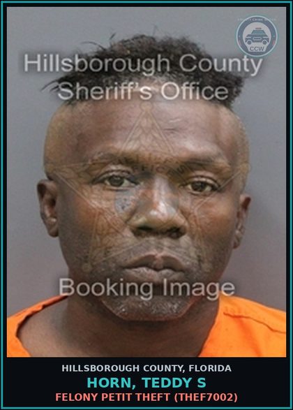 CCW arrest card for HORN, TEDDY S in Hillsborough County: FELONY PETIT THEFT (THEF7002)