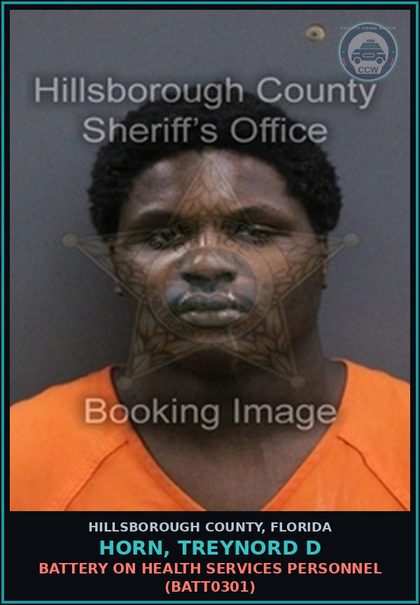 CCW arrest card for HORN, TREYNORD D in Hillsborough County: BATTERY ON HEALTH SERVICES PERSONNEL (BATT0301)