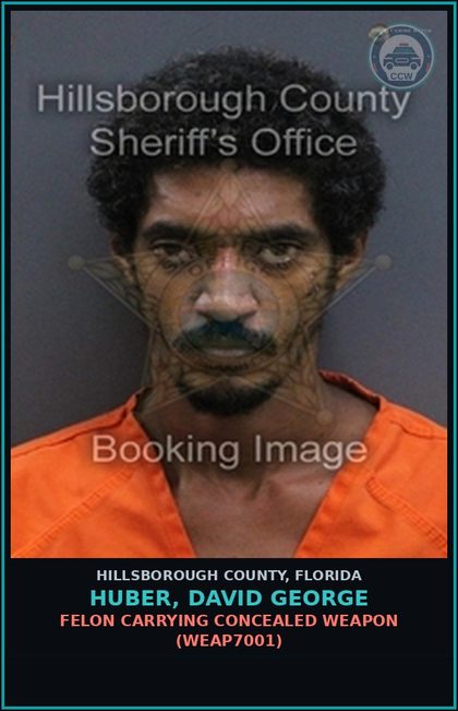 CCW arrest card for HUBER, DAVID GEORGE in Hillsborough County: POSSESSION OF DRUG PARAPHERNALIA (DRUG8102)
