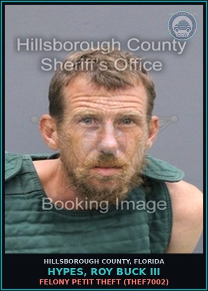 CCW arrest card for HYPES, ROY BUCK III in Hillsborough County: FELONY PETIT THEFT (THEF7002)