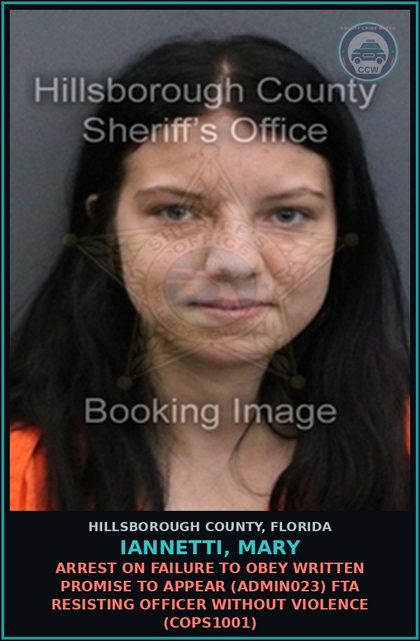 CCW arrest card for IANNETTI, MARY in Hillsborough County: ARREST ON FAILURE TO OBEY WRITTEN PROMISE TO APPEAR (ADMIN023) FTA RESISTING OFFICER WITHOUT VIOLENCE (COPS1001)