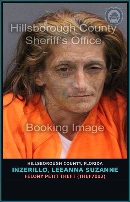 CCW arrest card for INZERILLO, LEEANNA SUZANNE in Hillsborough County: FELONY PETIT THEFT (THEF7002)