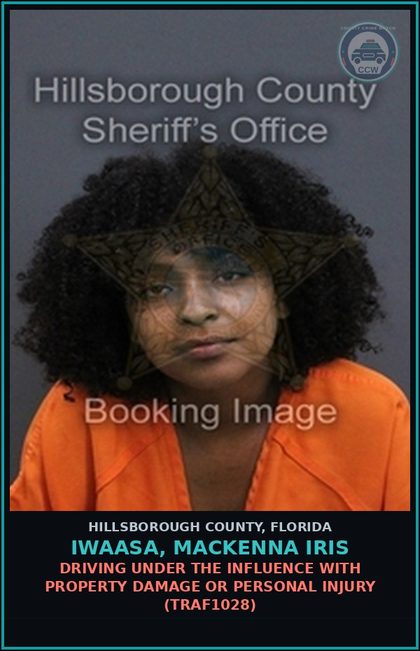 CCW arrest card for IWAASA, MACKENNA IRIS in Hillsborough County: DRIVING UNDER THE INFLUENCE WITH PROPERTY DAMAGE OR PERSONAL INJURY (TRAF1028)
