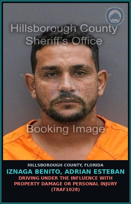 CCW arrest card for IZNAGA BENITO, ADRIAN ESTEBAN in Hillsborough County: DRIVING UNDER THE INFLUENCE WITH PROPERTY DAMAGE OR PERSONAL INJURY (TRAF1028)