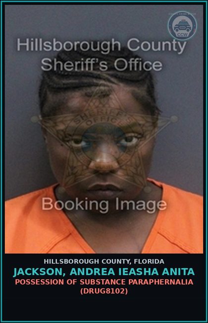 CCW arrest card for JACKSON, ANDREA IEASHA ANITA in Hillsborough County: POSSESSION OF DRUG PARAPHERNALIA (DRUG8102)