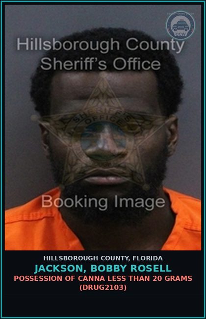 CCW arrest card for JACKSON, BOBBY ROSELL in Hillsborough County: POSSESSION OF Canna LESS THAN 20 GRAMS (DRUG2103)