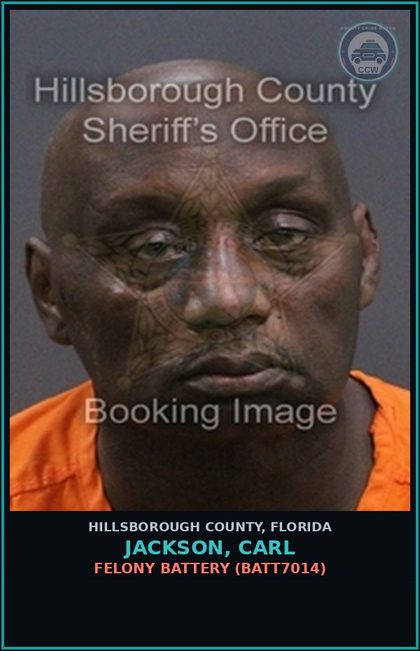 CCW arrest card for JACKSON, CARL in Hillsborough County: FELONY BATTERY (BATT7014)